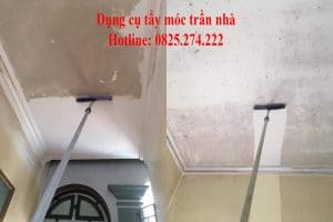 Cách tẩy nấm mốc trên tường hiệu quả, ROC