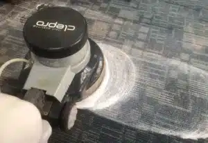 Máy chà sàn đơn Clepro CS17G chà thảm công nghiệp