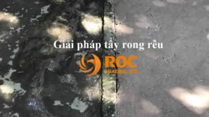 Bột tẩy rong rêu ROC