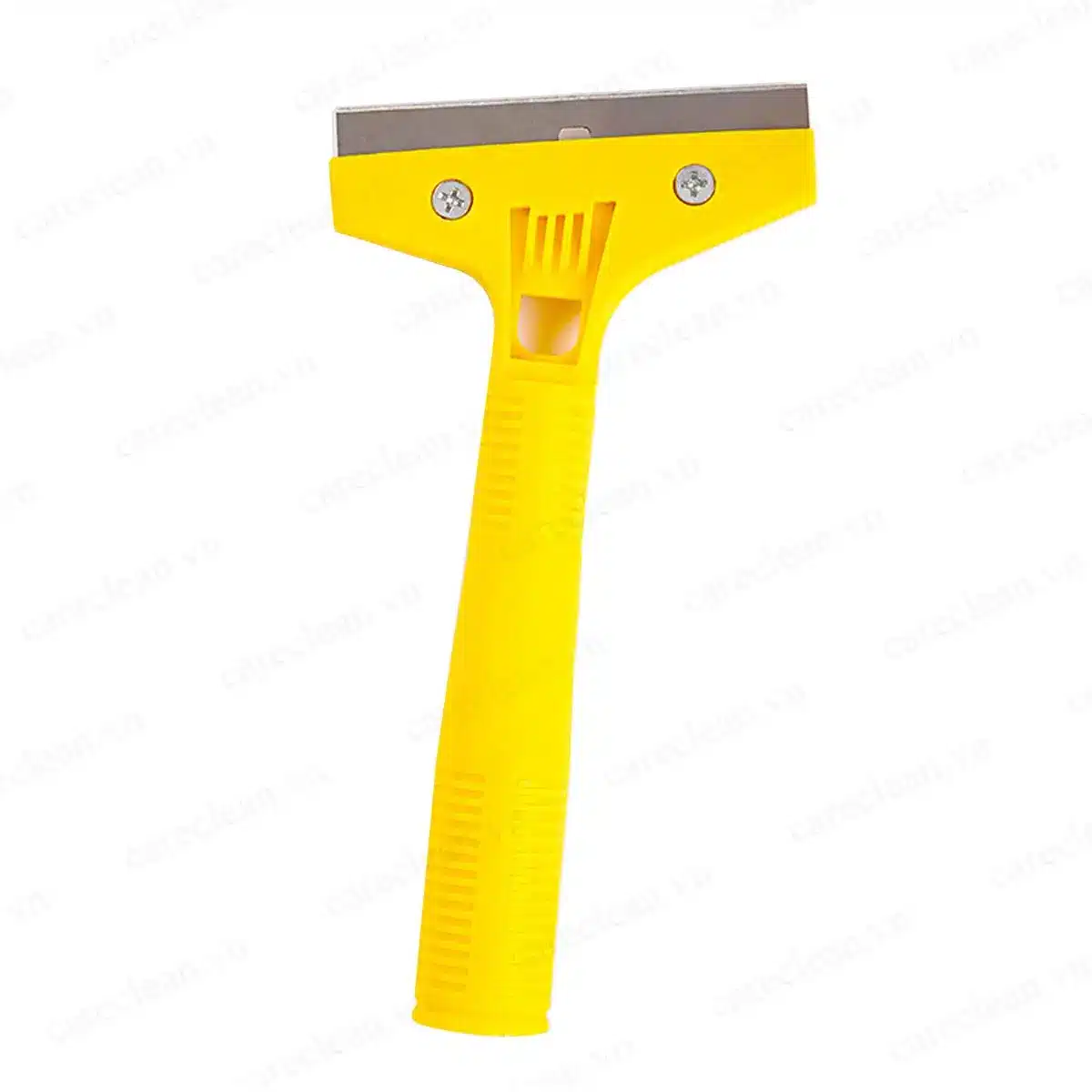 Cây sủi nhựa tại ROC