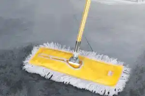 Cây lau khô công nghiệp 60cm tại ROC