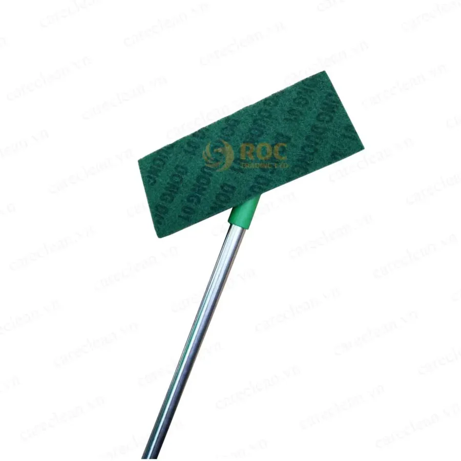 Cây chà tường - kính Lệ Chi tại ROC
