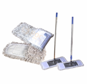 Cây lau bụi 45cm tại ROC