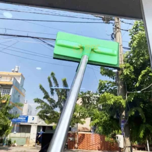 Cây chà tường - kính Lệ Chi tại ROC