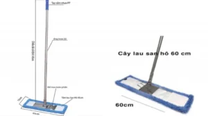 Cây lau san hô Homeinno 45cm kích thước tại ROC