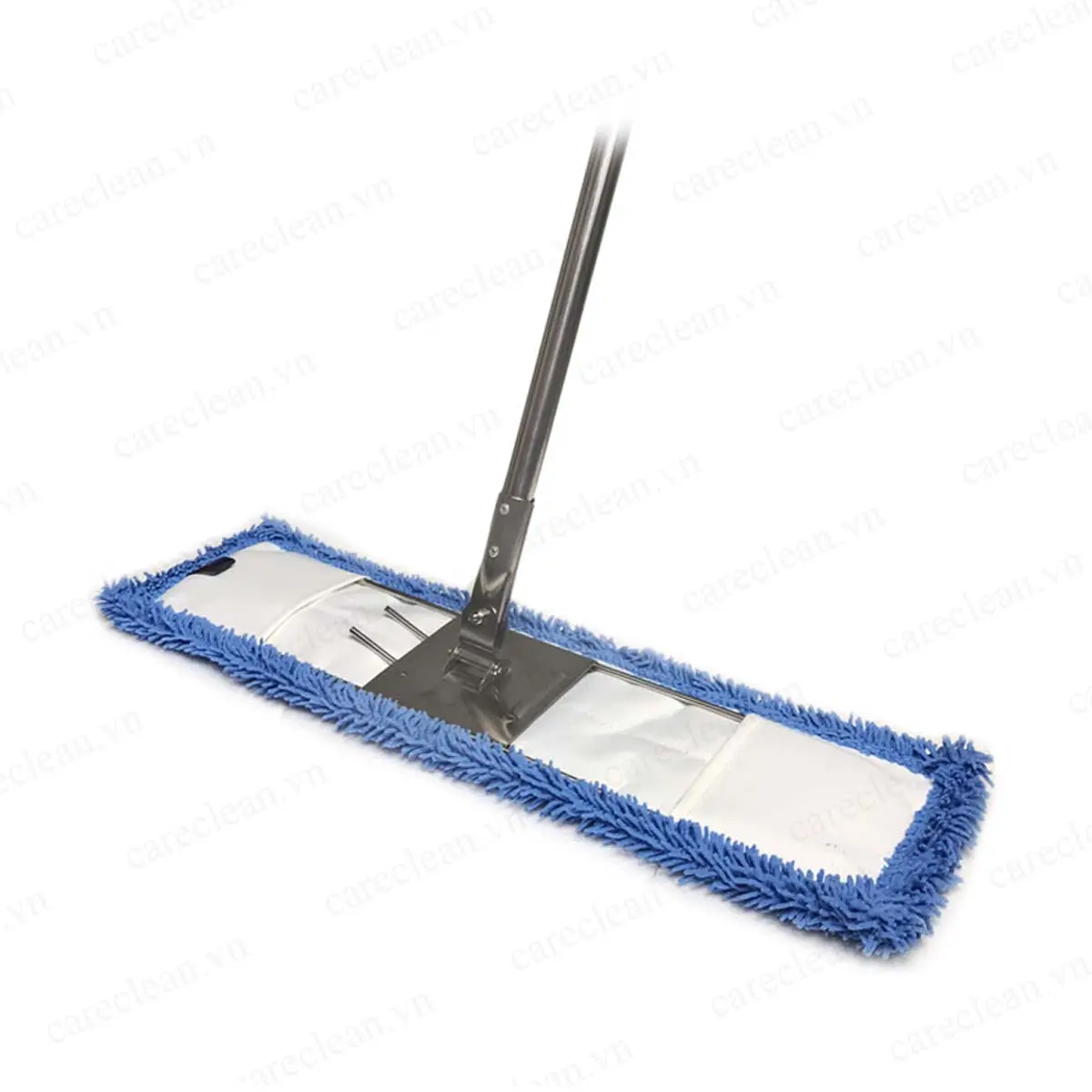 Cây lau san hô Homeinno 60cm tại ROC