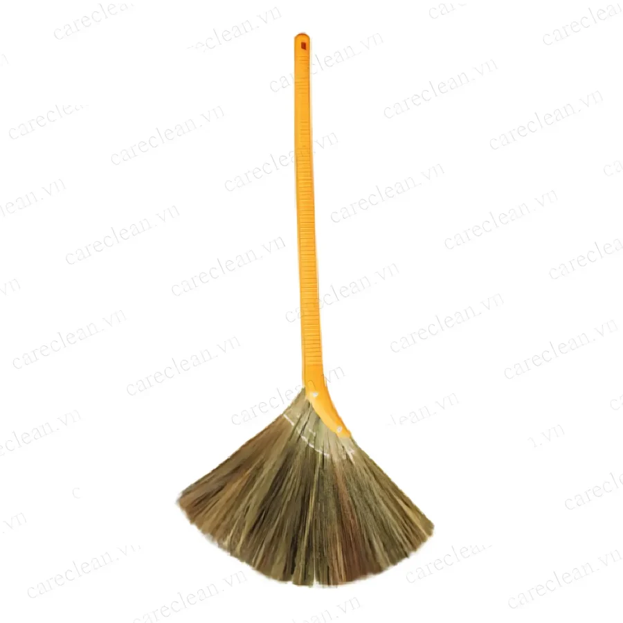 Chổi cỏ dày tại ROC