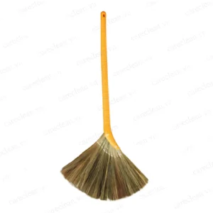 Chổi cỏ dày tại ROC